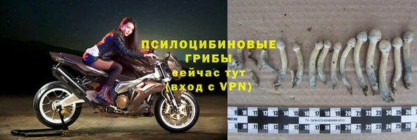 MESCALINE Богданович