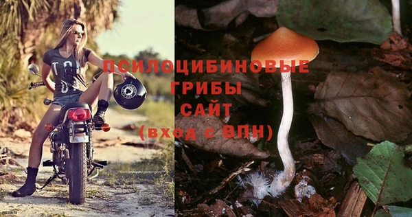 хмурый Богородицк