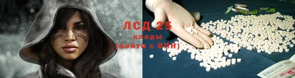 MESCALINE Богданович