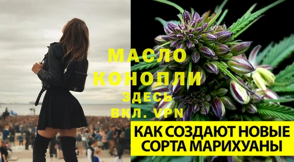 хмурый Богородицк