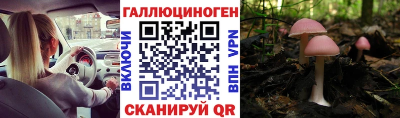 Галлюциногенные грибы Magic Shrooms  дарк нет как зайти  Тбилисская 